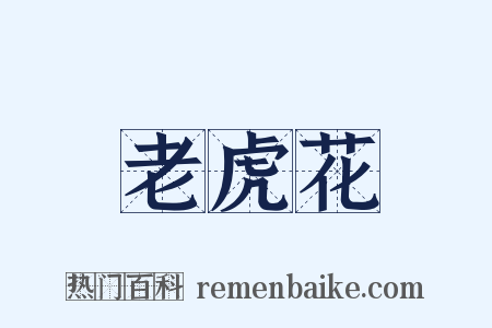 老虎花是什么意思的图片